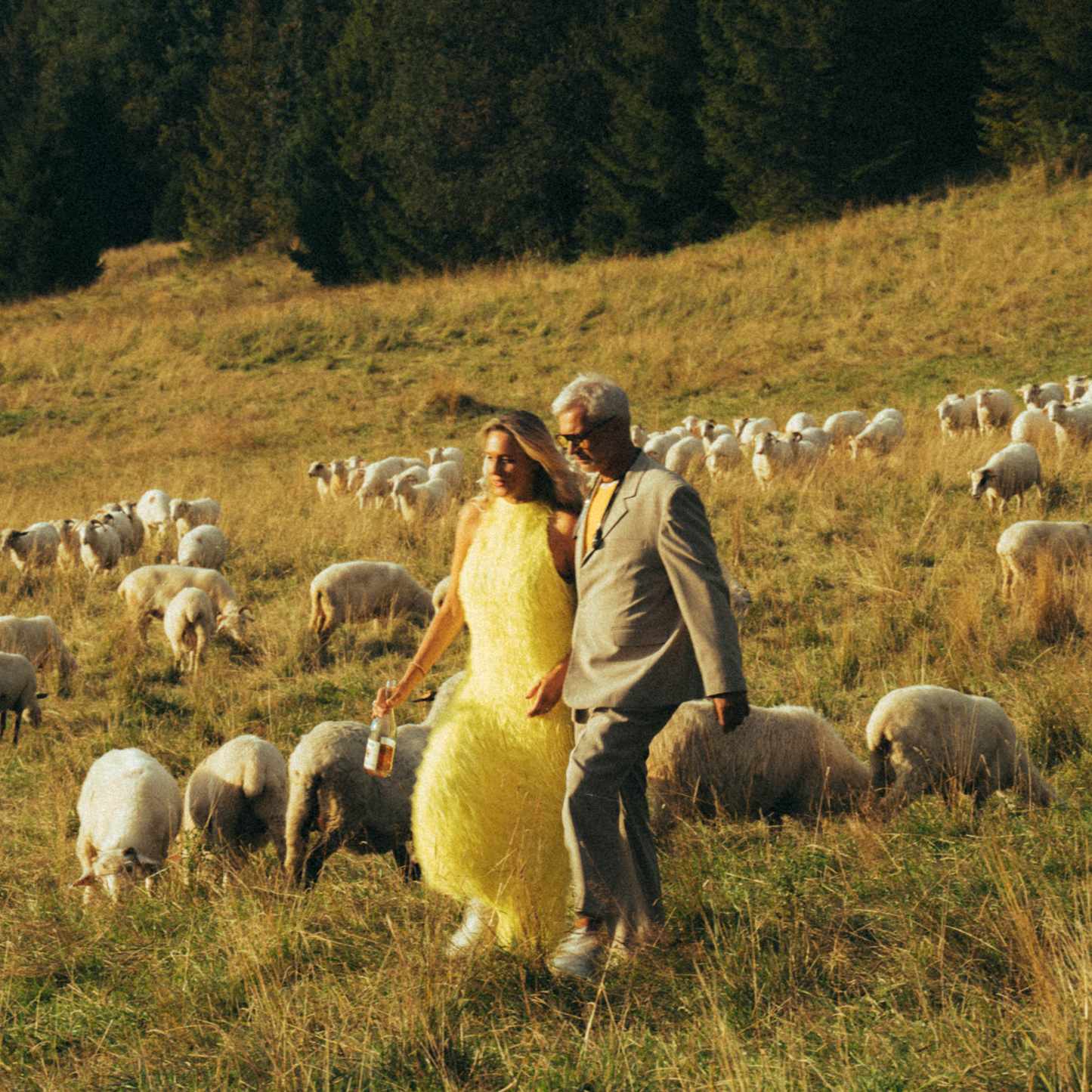 3-pack MINI F'ALKO Sparkling Rosé 0% (200 ml)