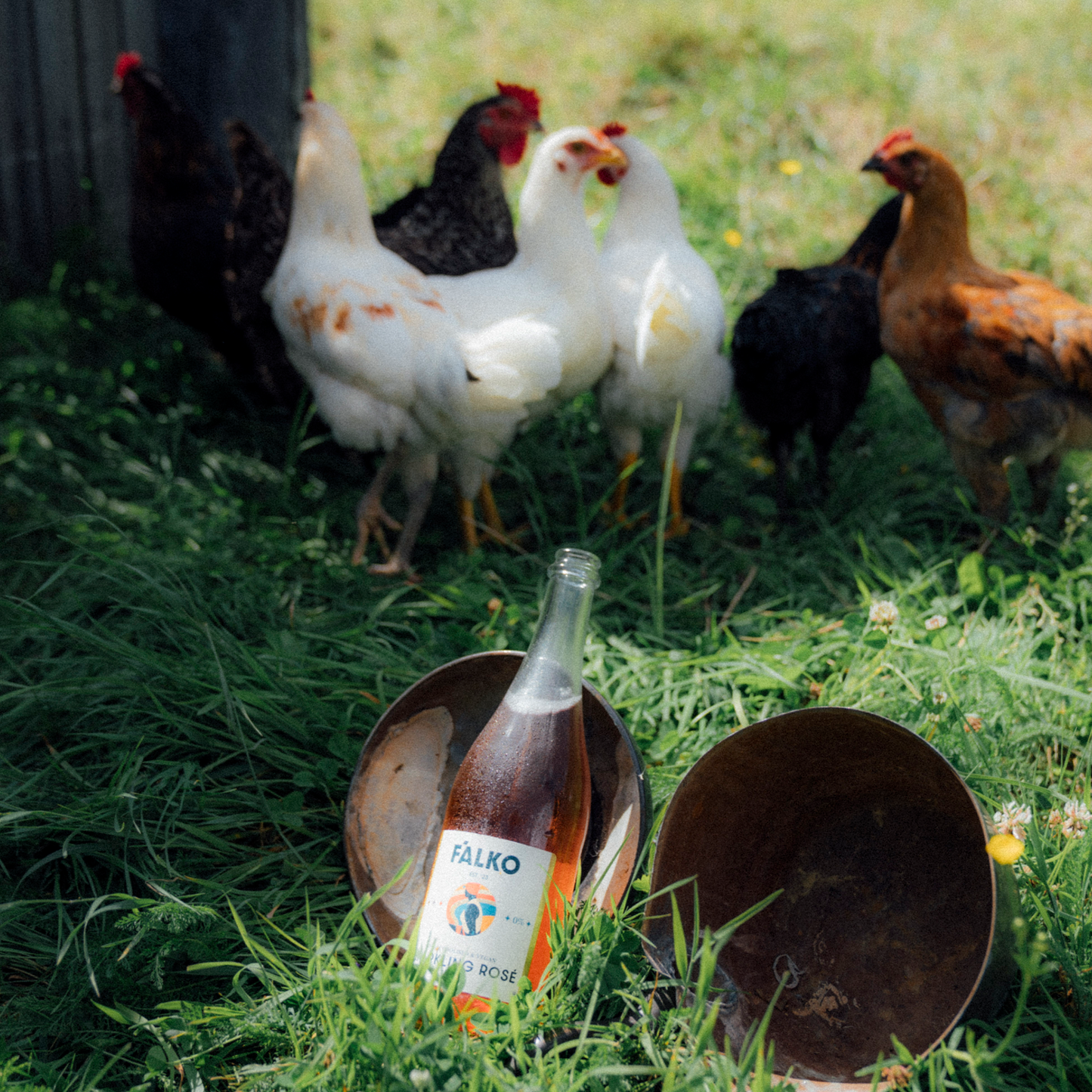 F'ALKO Sparkling Rosé 0%